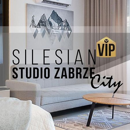 Studio Silesian Vip City Centrum Free Parking Ζάμπρτσε Εξωτερικό φωτογραφία