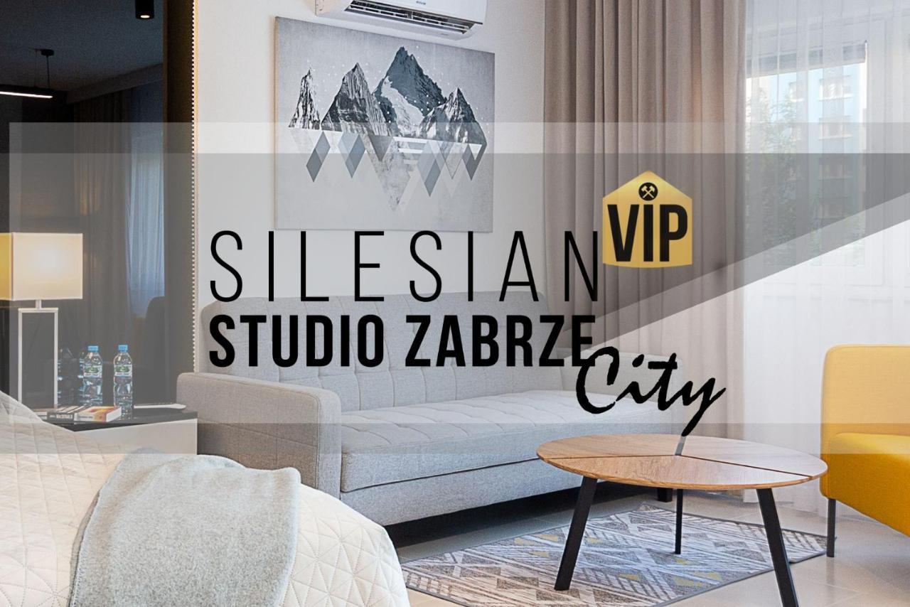 Studio Silesian Vip City Centrum Free Parking Ζάμπρτσε Εξωτερικό φωτογραφία